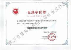中国安防工程建设先进单位奖