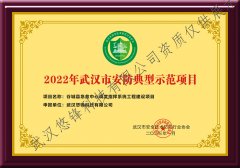 2022年武汉市安防典型示范项目