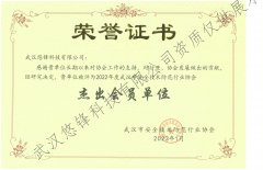 武汉市安全技术防范行业协会杰出会员单位
